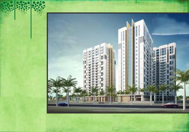 Lotus Apartment